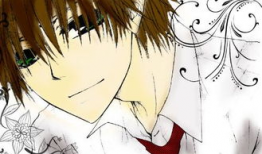 学生会长动漫,青春梦想的交织之旅